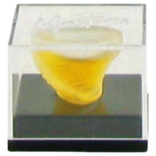 Montana by MontanaMini EDT.07 oz.07 oz / 2 ml / Alcohol, Amber, Woody, Aldehyde, Oils Women